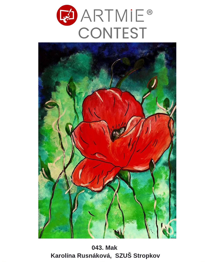 Valutazione dell'ARTMiE Contest 2024: un'esplosione di creatività e talento in tutta la Slovacchia!