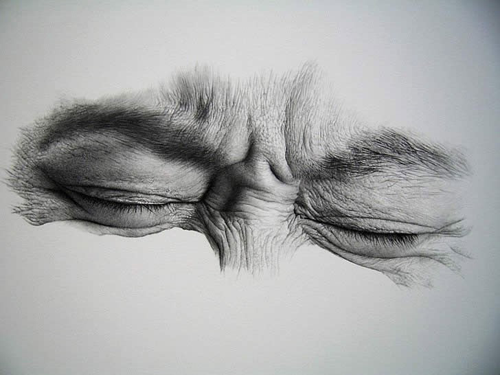 Disegnare a matita: impara le tecniche di disegno