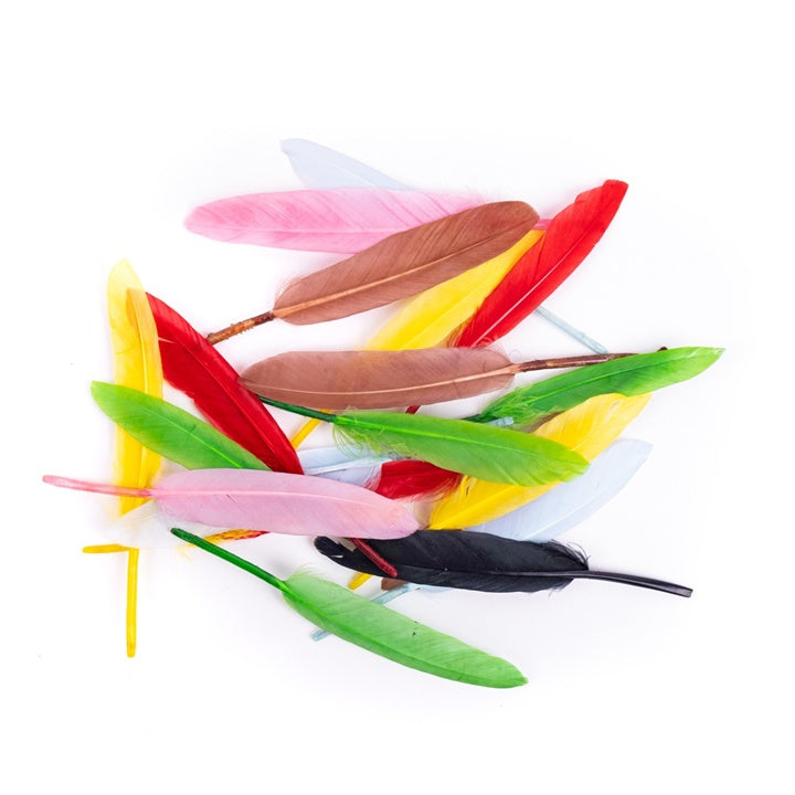 Piume d'oca multicolore 13 cm