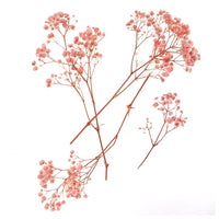 Gypsophila rosa chiaro - 4 steli, 20 cm