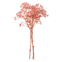 Gypsophila rosa chiaro - 4 steli, 20 cm