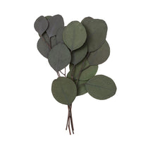 Eucalipto Populus stabilizzato - Verde / 4 steli, 20 cm