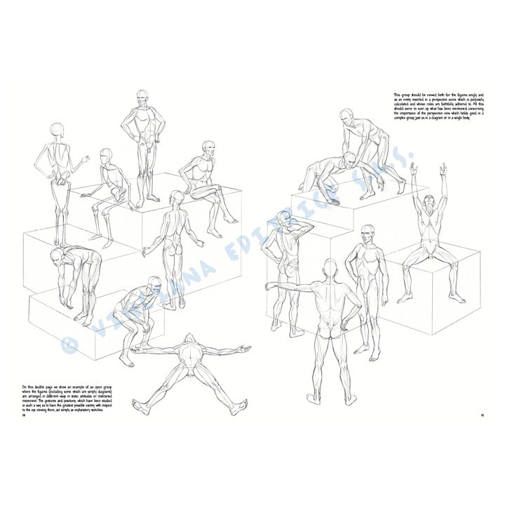 Collezione Leonardo 02 Fondamenti di disegno