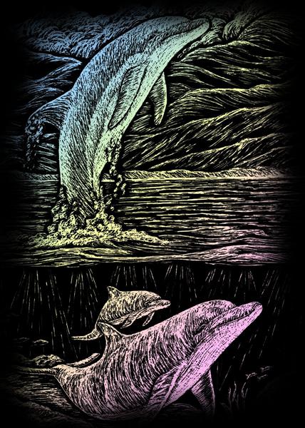 Engraving art™ - Jumping Dolphin