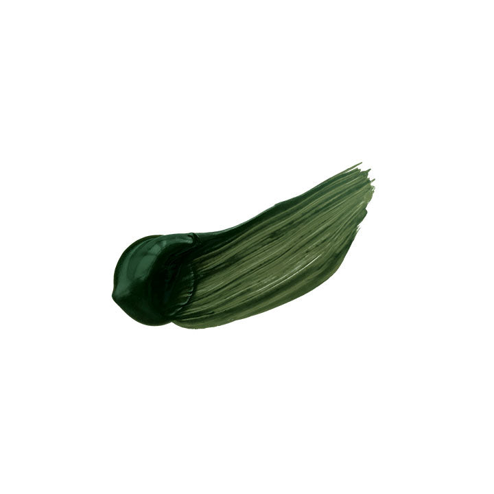 Colore acrilico Gesso - HOLBEIN 300 ml – Terre Verte
