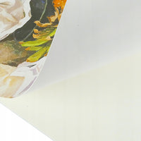 Blocco da disegno Phoenix 180 g/m², 60 fogli – formati assortiti