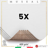 Campioni di tela da pittura  ARTMIE MUSEAL - 5 pz. | dimensioni diverse