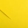CANSON Colorline carta colorata 50 x 65 cm 150 g - 10H – Giallo Canarino 4