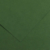 CANSON Iris Vivaldi carta colorata 50 x 65 cm, 240 g – Abete 31