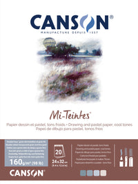 Canson Mi-Teintes blocco collato per pastello 160 g/m² 20 fogli - 24 x 32 cm, Grey/Blue