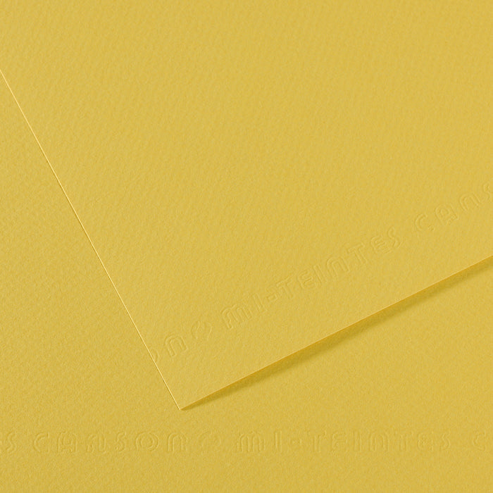 Canson Mi-Teintes carta per pastello 50 x 65 cm 160 g 25 fg – Anice