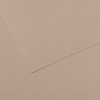 Canson Mi-Teintes carta per pastello 50 x 65 cm 160 g 25 fg – Grigio Flangella 122