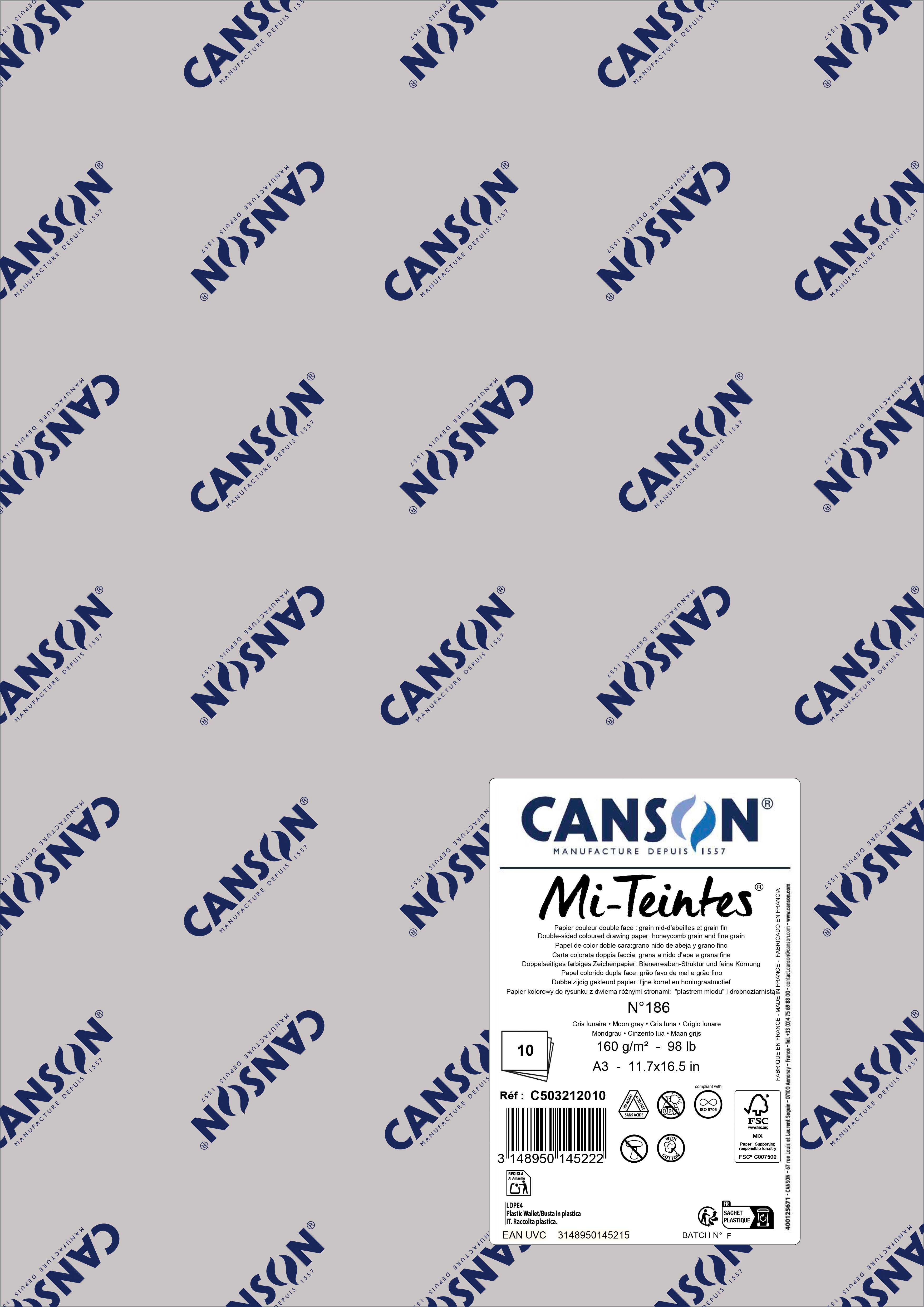 Carta per pastello Canson Mi-Teintes A3 160 g - 10 fogli – Grigio luna 186