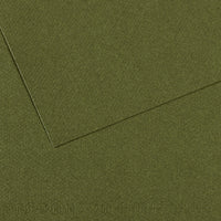 Canson Mi-Teintes carta per pastello A3 160 g 25 fogli – Edera 448