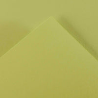 Carta colorata CANSON Iris Vivaldi A4 185 g - 50 fogli – Verde Lime 88