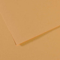 Carta colorata CANSON Mi-Teintes 50 x 65 cm – 160 g/m² – Ostrica 340