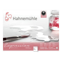 Carta per acquerello Hahnemühle Expression | Varie dimensioni