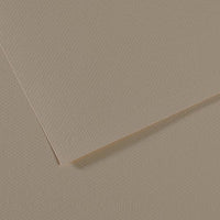 Carta per pastello CANSON Mi-Teintes A4 / 160 g/m² – 50 fogli – Ostrica 340
