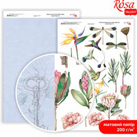 Carte per scrapbooking King Protea A4 | vari motivi — immagine 6