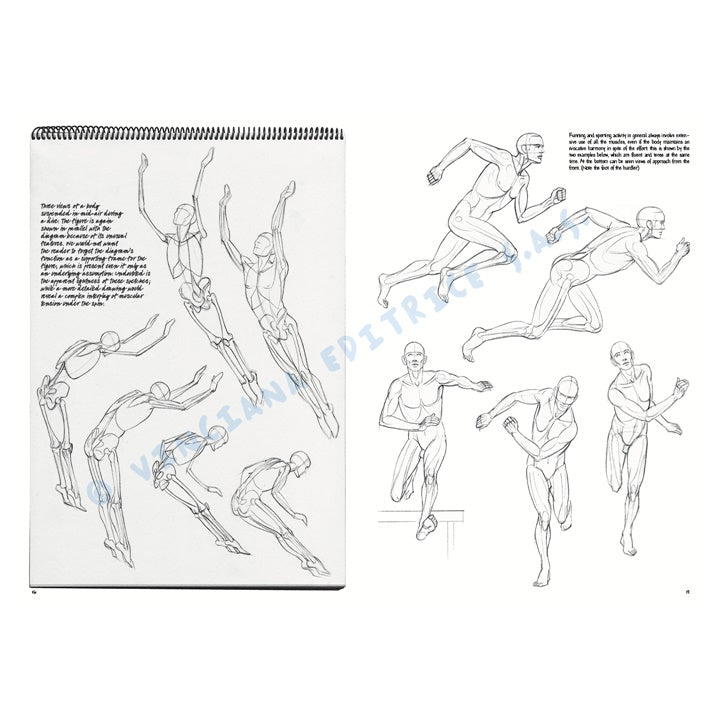 Collezione Leonardo 02 Fondamenti di disegno