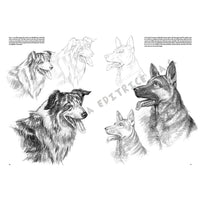 Collezione Leonardo 13 - Animali
