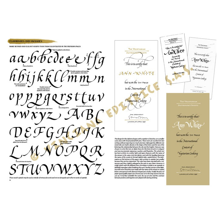 Collezione Leonardo 37 Guida alla calligrafia