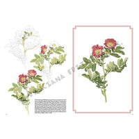 Collezione Leonardo 42 Rose