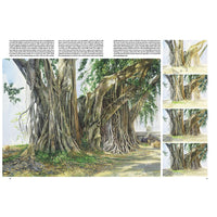 Collezione Leonardo 45 Alberi e foglie