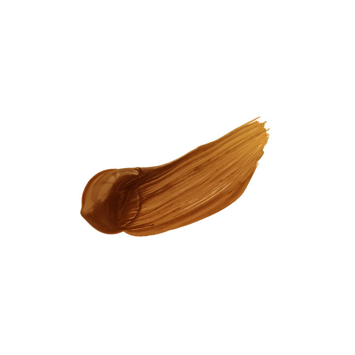 Colori acrilici professionali Heavy Body - Holbein - sfumature marroni | colori diversi