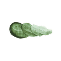 Colori ad olio Vernet - Holbein 20 ml | vari colori