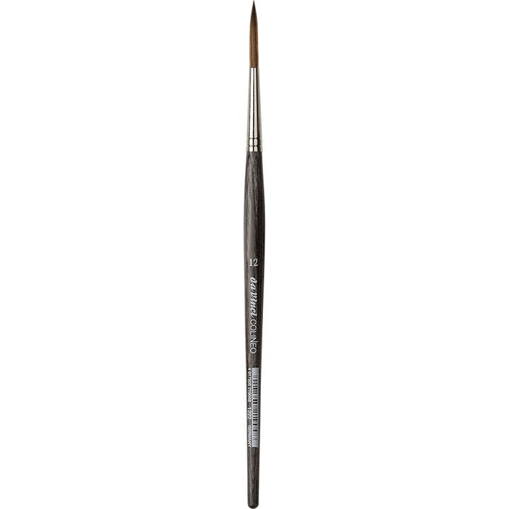 Da Vinci spazzola COLINEO rigger serie 1222 | dimensioni diverse