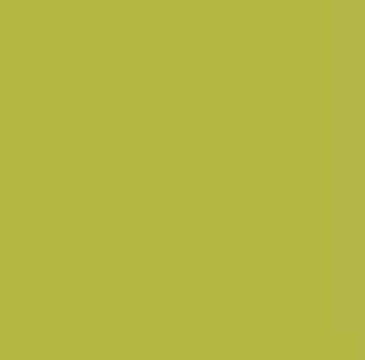 Pittura decorativa gessosa Pentart – 29334 - verde giallastro