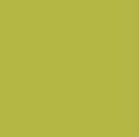 Pittura decorativa gessosa Pentart – 29334 - verde giallastro