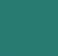 Pittura decorativa gessosa Pentart – 29339 - verde ginepro
