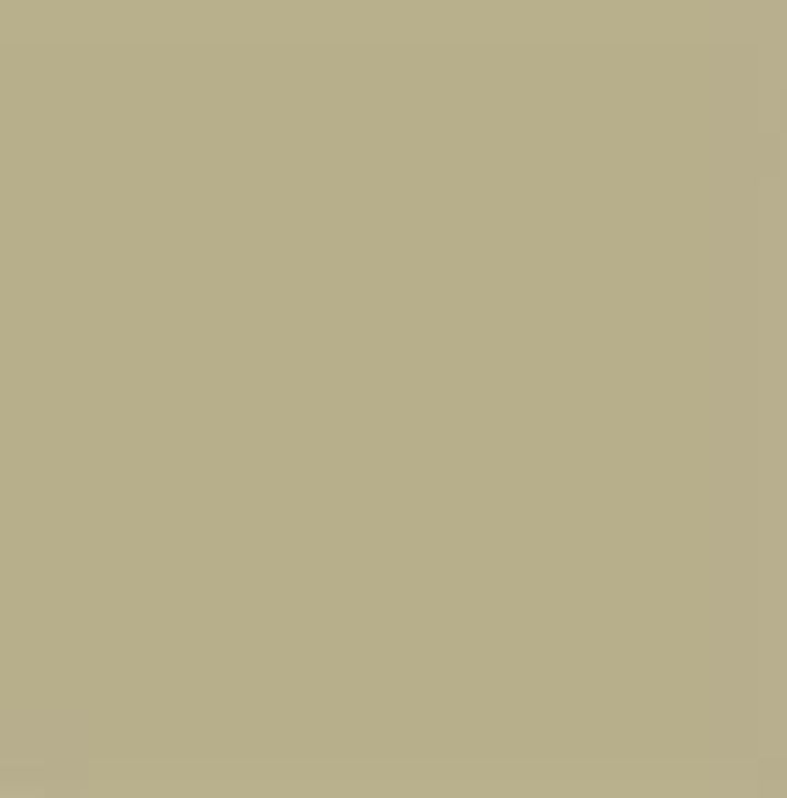 Pittura decorativa gessosa Pentart – 29340 - beige vintage