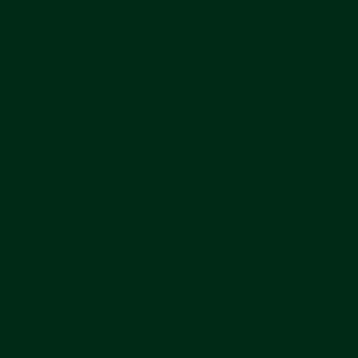 Pittura decorativa gessosa Pentart – 38788 - verde pino