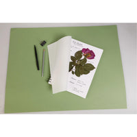 Erbario CLAIREFONTAINE 180 g/m² 21 x 21 cm - 32 fogli