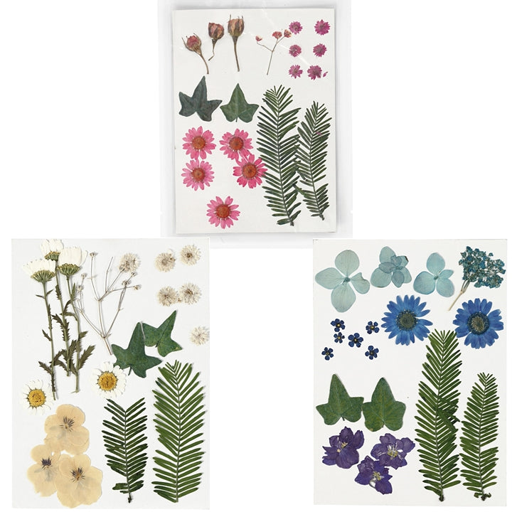 Fiori e foglie pressati | scegli una variante