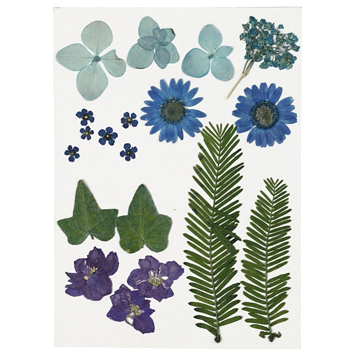 Fiori e foglie pressati | scegli una variante