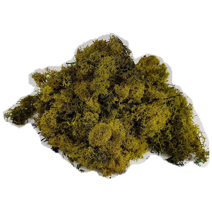Lichene islandese 500g | scegli il colore