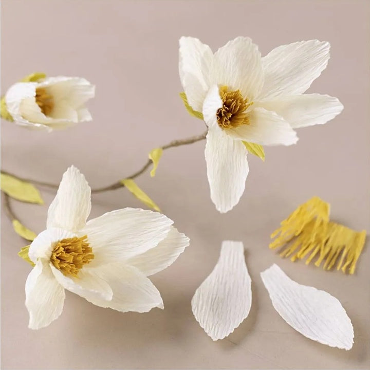 Mini set creativo | Carta crespa Magnolia ramoscello