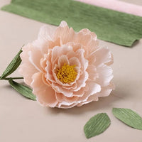 Mini set creativo | Peonia in carta crespa