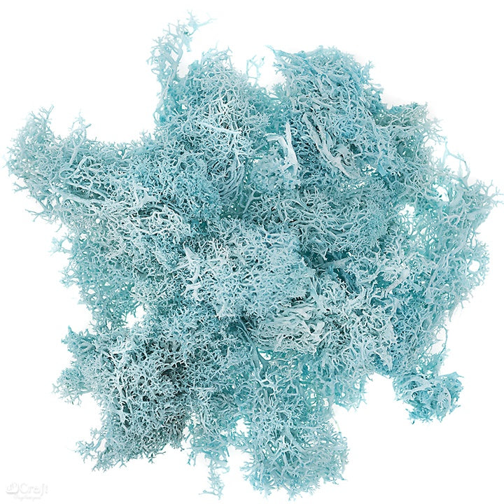 Muschio di renna naturale 30 g | scegli un colore