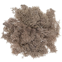 Muschio di renna naturale 30 g | scegli un colore