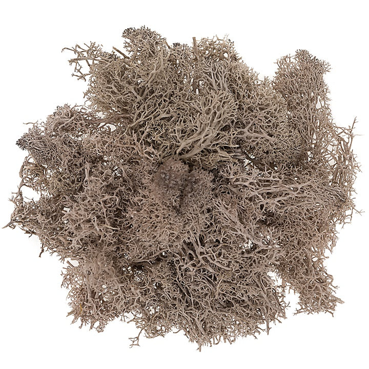 Muschio di renna naturale 30 g | scegli un colore