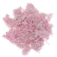 Muschio di renna naturale 30 g | scegli un colore