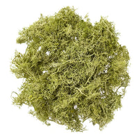 Muschio di renna naturale 30 g | scegli un colore