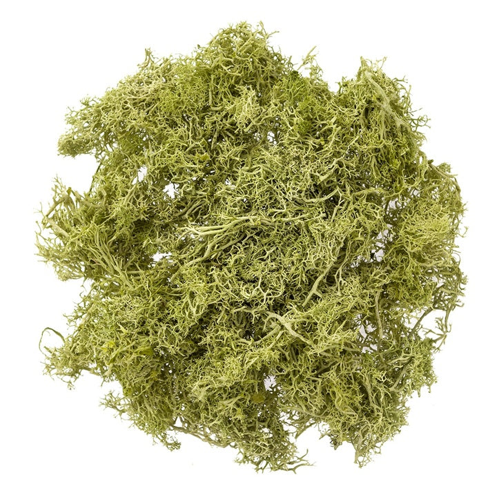 Muschio di renna naturale 30 g | scegli un colore