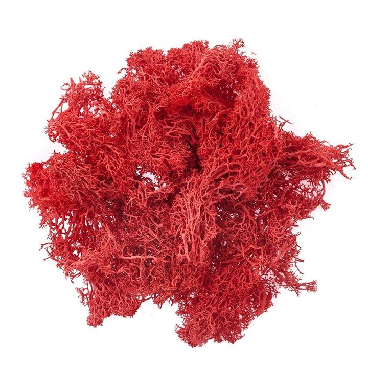 Muschio di renna naturale 30 g | scegli un colore