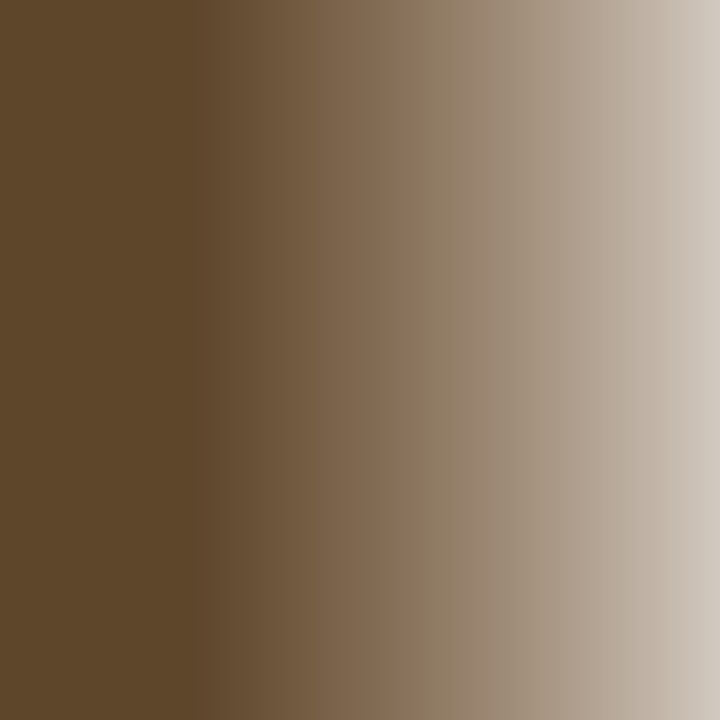 Daler-Rowney GEORGIAN colore ad olio 38 ml – RawUmber